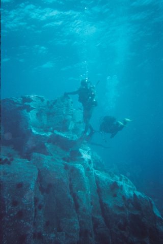 bajoelaguatenerife16.jpg