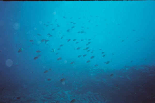 bajoelaguatenerife6.jpg