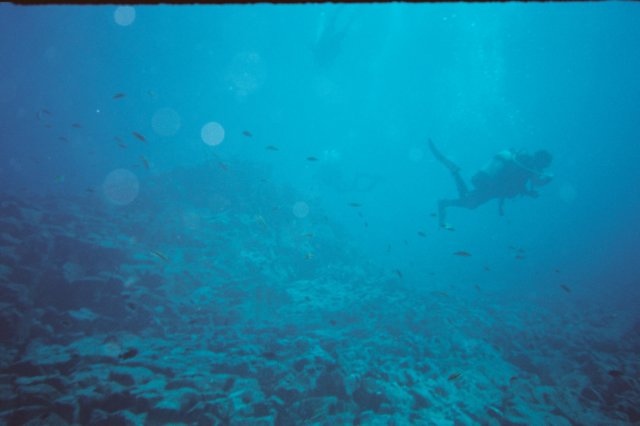 bajoelaguatenerife8.jpg