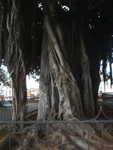 parque.jpg